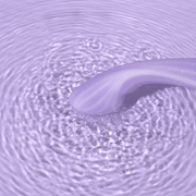 Svakom - Margot – G-spot Vibrator - Dubbele Motor - App Control – Lila-Erotiekvoordeel.nl