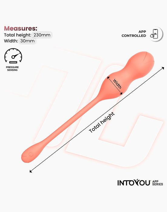 IY - Kyra - App Bediende Bekkenbodemtrainer Vaginaballetjes met Vibratie – Oranje-Erotiekvoordeel.nl