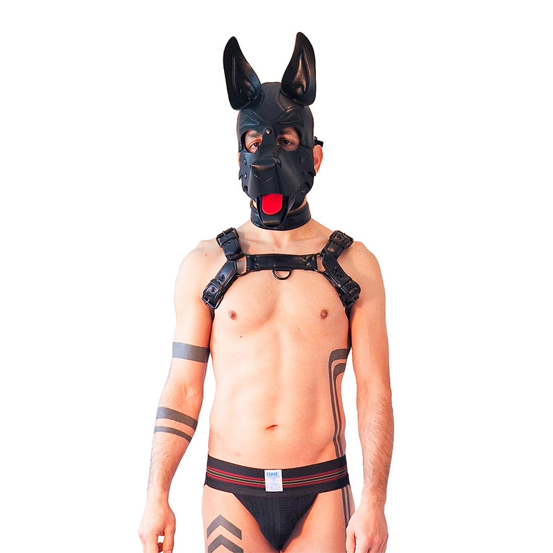 Brutus Vegan Bulldog Harnas - Zwart-Erotiekvoordeel.nl