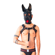 Brutus Vegan Bulldog Harnas - Zwart-Erotiekvoordeel.nl