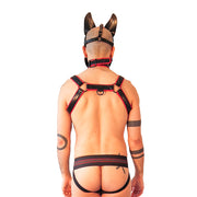 Brutus Vegan Bulldog Harnas - Zwart/Rood-Erotiekvoordeel.nl