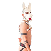 Brutus Vegan Bulldog Harnas - Wit-Erotiekvoordeel.nl