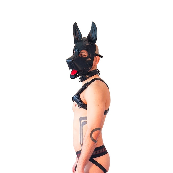 Brutus Vegan Puppy Harnas - Zwart-Erotiekvoordeel.nl