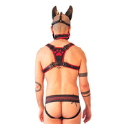 Brutus Vegan Puppy Harnas - Zwart/Rood-Erotiekvoordeel.nl