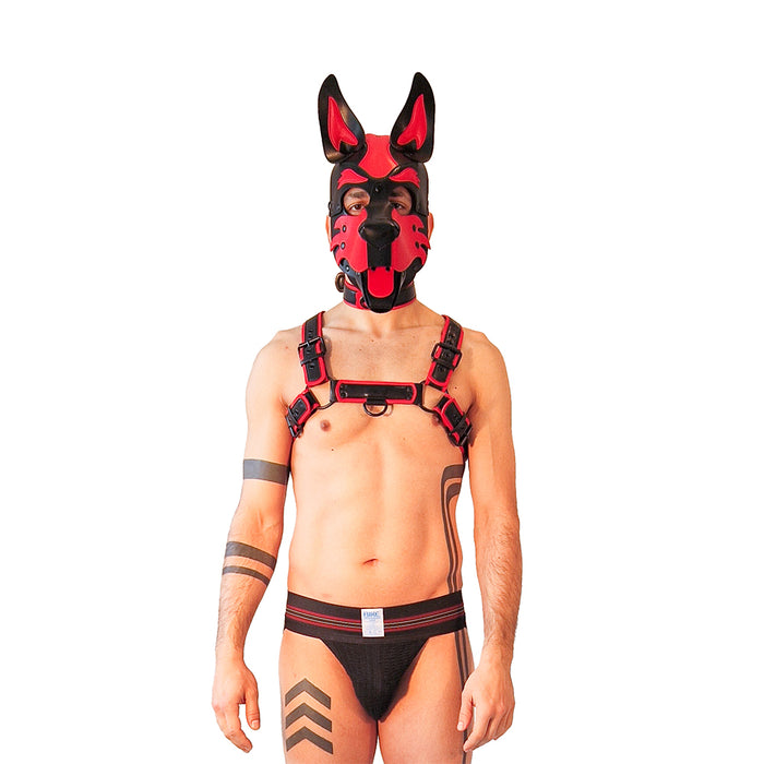 Brutus Vegan Puppy Harnas - Zwart/Rood-Erotiekvoordeel.nl