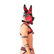 Brutus Vegan Puppy Harnas - Zwart/Rood-Erotiekvoordeel.nl