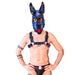 Brutus Vegan Puppy Harnas Zwart/Blauw-Erotiekvoordeel.nl