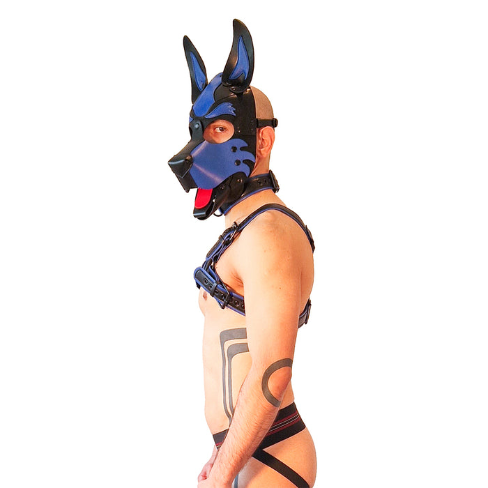 Brutus Vegan Puppy Harnas Zwart/Blauw-Erotiekvoordeel.nl