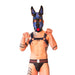 Brutus Vegan Puppy Harnas Zwart/Blauw-Erotiekvoordeel.nl