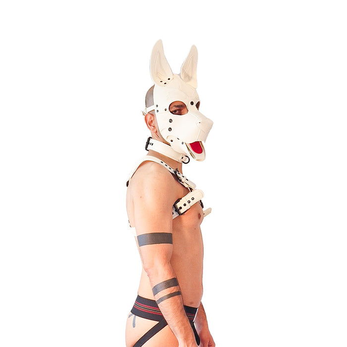 Brutus Vegan Puppy Harnas - Wit-Erotiekvoordeel.nl