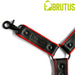 Brutus - Lederen Beenharnas - Verstelbaar- Zwart/Rood-Erotiekvoordeel.nl