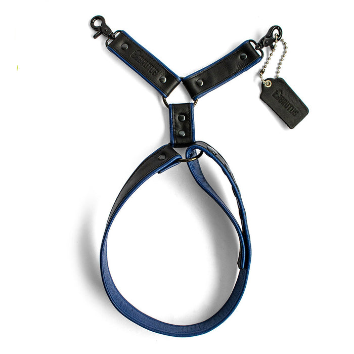 Brutus - Lederen Beenharnas - Verstelbaar- Zwart/Blauw-Erotiekvoordeel.nl