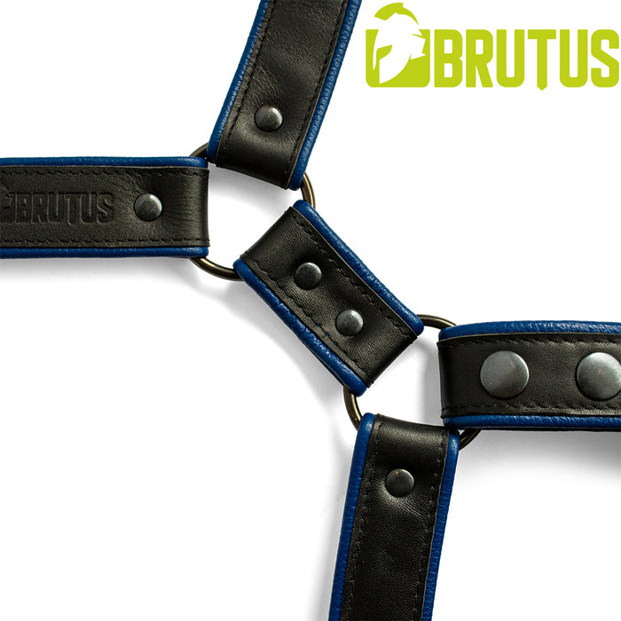 Brutus - Lederen Beenharnas - Verstelbaar- Zwart/Blauw-Erotiekvoordeel.nl