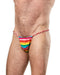 Amorable - Pride Herenstring - One Size - Multicolor-Erotiekvoordeel.nl
