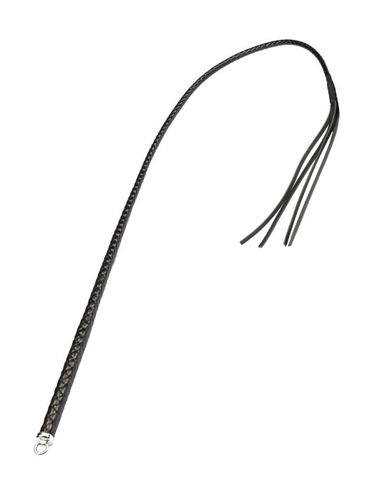 RISE - BDSM Zweep - Feather Single Tail - Zwart-Erotiekvoordeel.nl