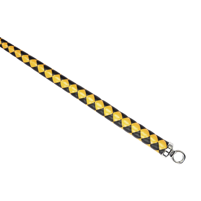 RISE - BDSM Zweep - Feather Wide Single Tail - Zwart/Goud-Erotiekvoordeel.nl