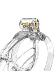 Rimba P-Cage - P-Cage PC01 - Kuisheidskooi - Peniskooi - Maat M - Transparant-Erotiekvoordeel.nl