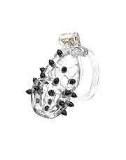 Rimba P-Cage - P-Cage PC09 - Kuisheidskooi - Peniskooi - Maat M - Transparant-Erotiekvoordeel.nl