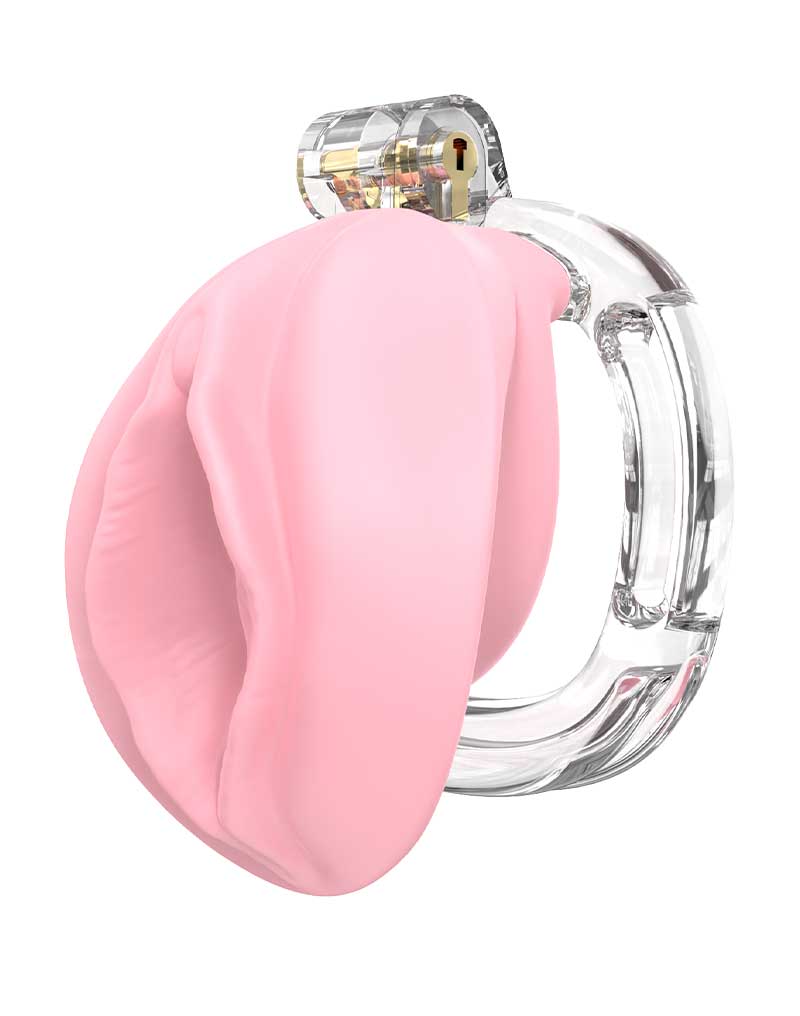 Sissification Penis Käfig