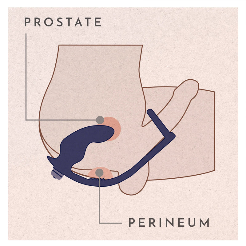Rocks-Off - Nova Zenturian - Prostaatplug met penis- en testikelringen - Blauw-Erotiekvoordeel.nl