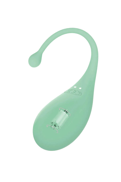 Adrien Lastic - Palpitation - Vibriierendes Ei - Mintgrün - Erotiekvoordeel.nl