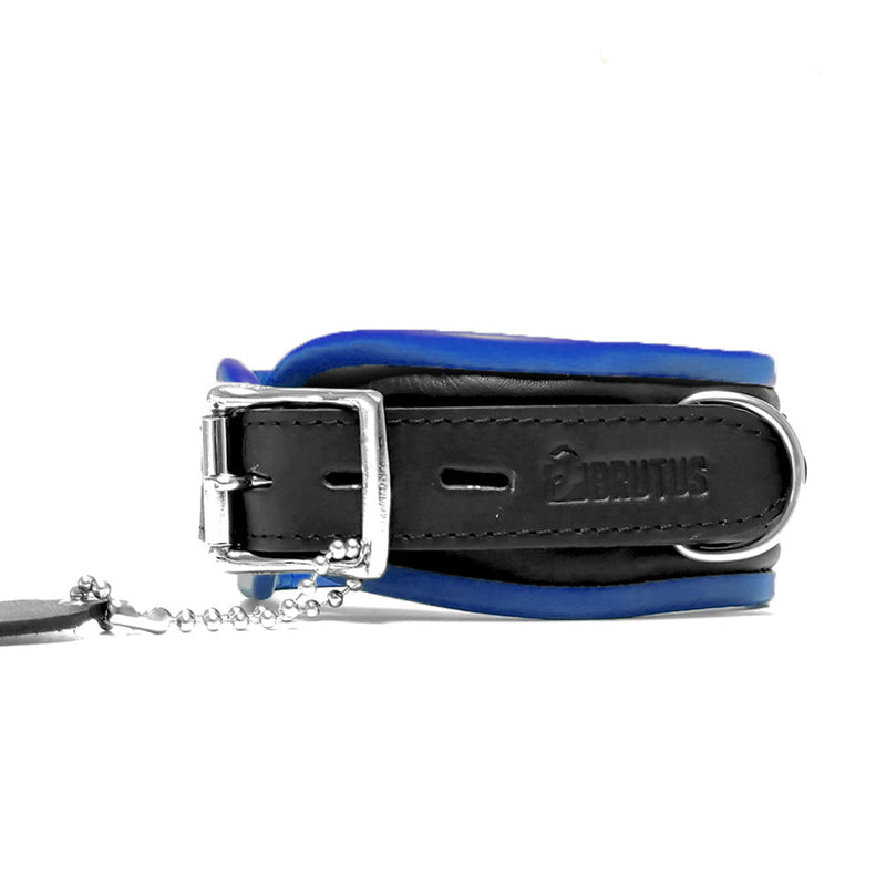 Brutus - Verschließbares Lederhalsband - Schwarz/Blau - Erotiekvoordeel.nl