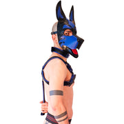 Brutus Vegan Bulldog Harness - Black/Blue-Erotiekvoordeel.nl