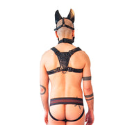 Pettorina per cuccioli Brutus Vegan - Nero-Erotiekvoordeel.nl