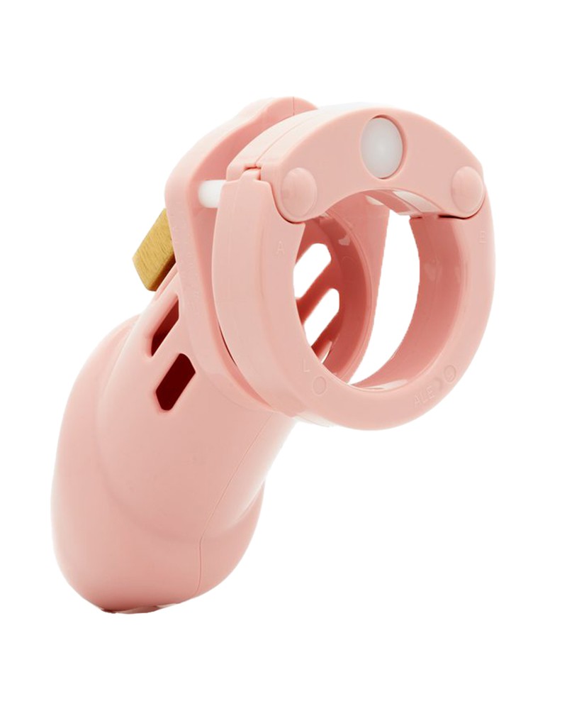 CB-X - CB6000 Chastity Cage - Penis Cage - Pink-Erotiekvoordeel. nl