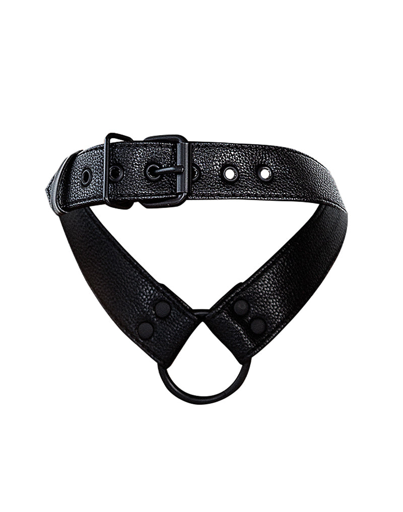 Cut4Men - Collier Wetlook avec lanière et cockring - Noir - Erotiekvoordeel.nl