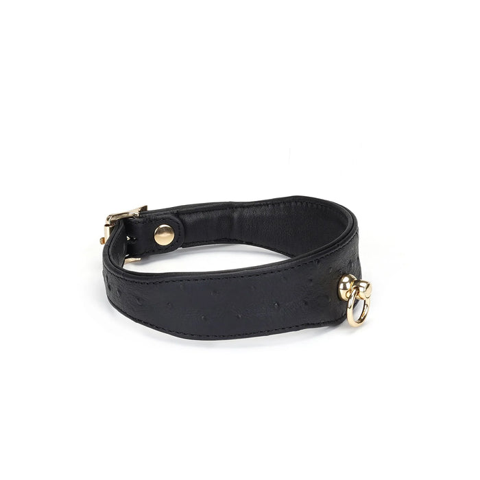 Liebe Seele - Demon's Kiss - Smalle Curved Collar Met Leash - Luxe En exclusief ontwerp - Zwart/Goud-Erotiekvoordeel.nl