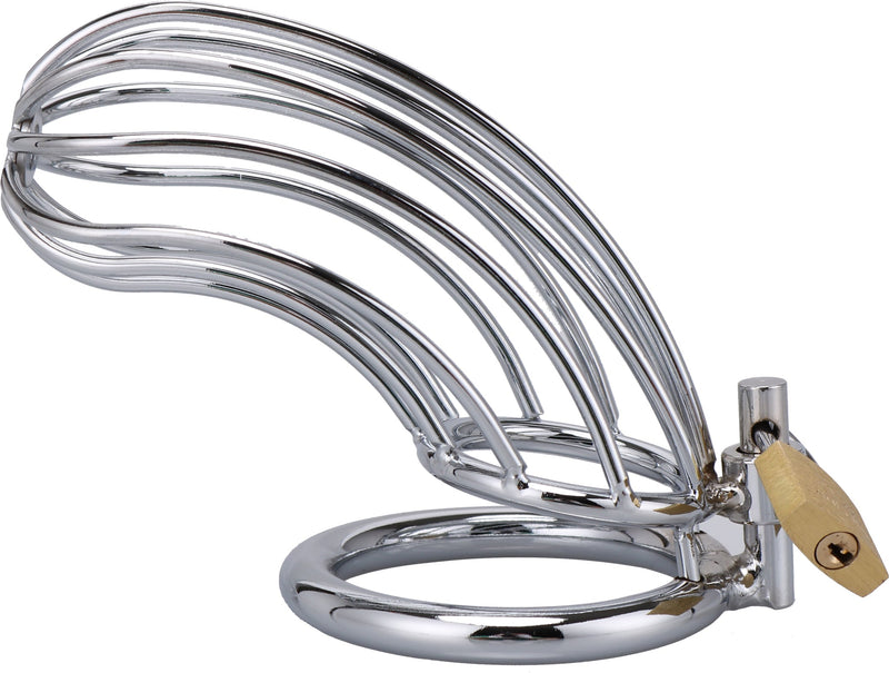 Fixxx - Apollo - Kuisheidskooi - Zilver - Drie Diameters-Erotiekvoordeel.nl