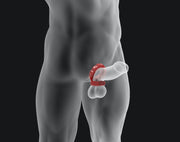 Hünkyjunk - Cog Ring - Set 2 Cockringen - Blauw/Zwart-Erotiekvoordeel.nl