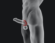 Hünkyjunk - Connect - Penis & Balzak Tugger Ring - Blauw-Erotiekvoordeel.nl