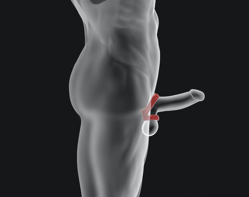 Hünkyjunk - Connect - Penis & Balzak Tugger Ring - Blauw-Erotiekvoordeel.nl