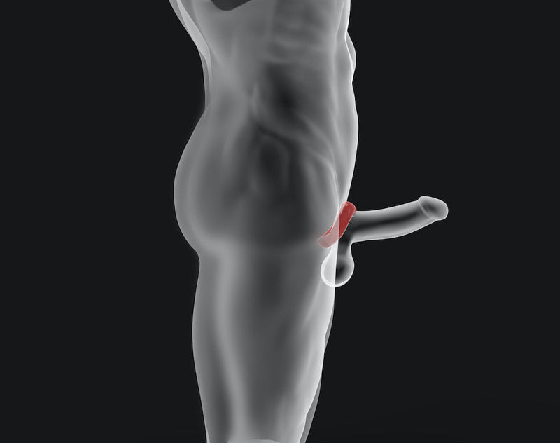 Hünkyjunk - Anneau pénien Fit Ergo Shaped - Black Tar - Erotiekvoordeel.nl