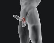 Hünkyjunk - Anneau pénien Fit Ergo Shaped - Black Tar - Erotiekvoordeel. nl