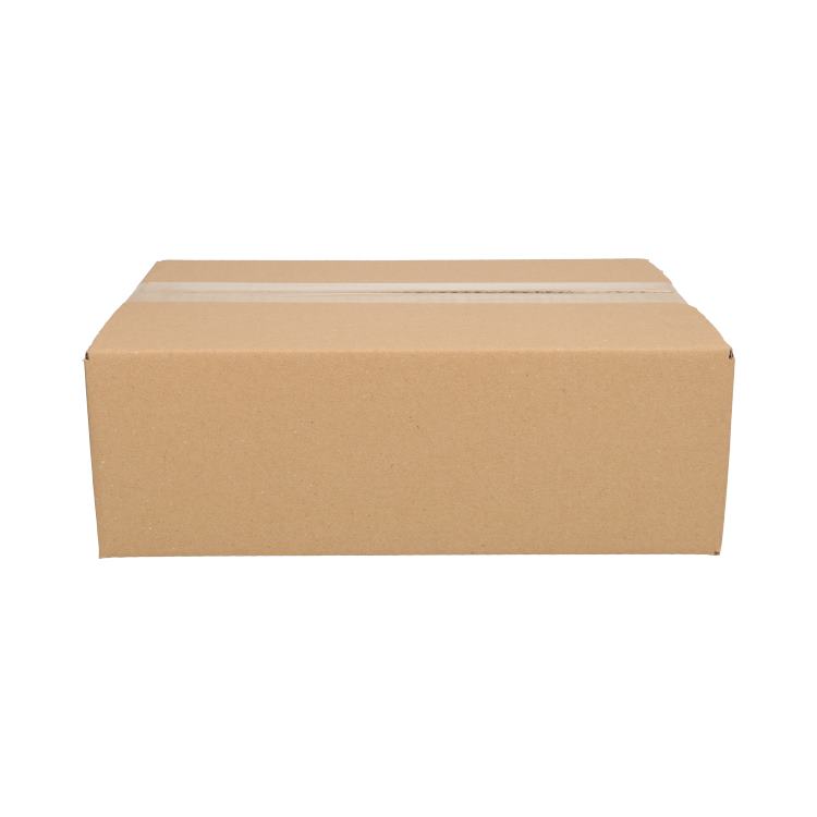 Kartonnen doos - 305 x 220 x 100 mm - 25 stuks-Erotiekvoordeel.nl