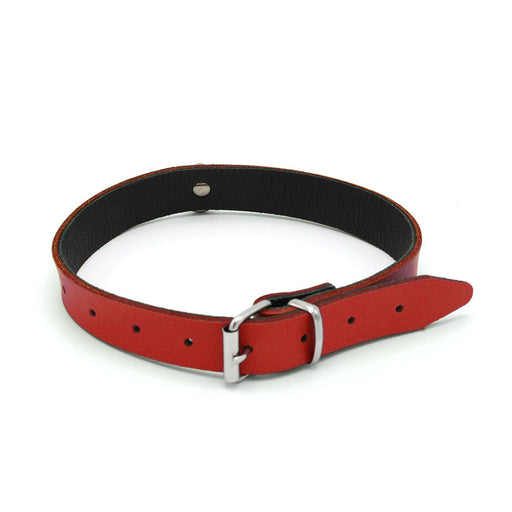 Kiotos Leather - Collar met Kleine O-ring - Leder - Rood-Erotiekvoordeel.nl