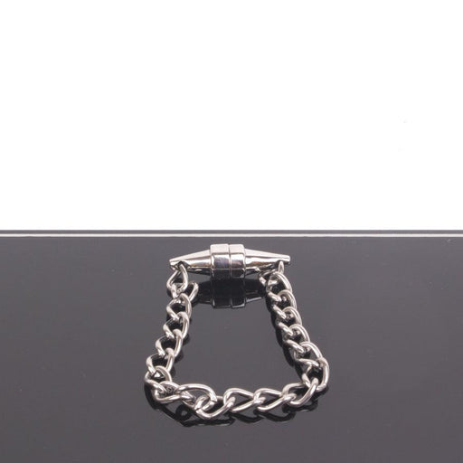 Kiotos - Magnetic Nipple Clamp with Chain - 1 piece - Erotiekvoordeel.nl
