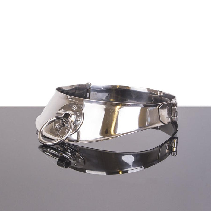 Kiotos Steel - Locking Collar Met Ring - 12 cm-Erotiekvoordeel.nl