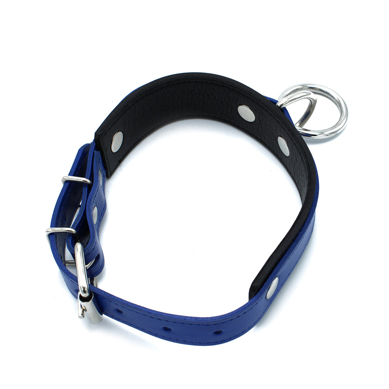 Kiotos - Collier en cuir noir/bleu avec grand anneau en O - Erotiekvoordeel.nl