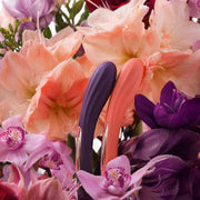 LELO - Boomerang - Vibratore a doppia estremità - Doppio motore - Viola-Erotiekvoordeel.nl