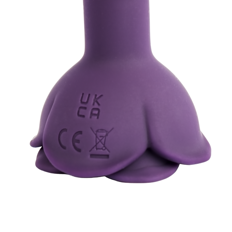 LOVISS - Posy - Garden Plug anal vibrant avec télécommande - Paars-Erotiekvoordeel.nl
