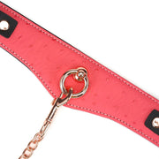 Liebe Seele - Angel's Kiss - Curved Collar Met Leash - Luxe En exclusief ontwerp - Roze/Zwart/Rosé Goud-Erotiekvoordeel.nl