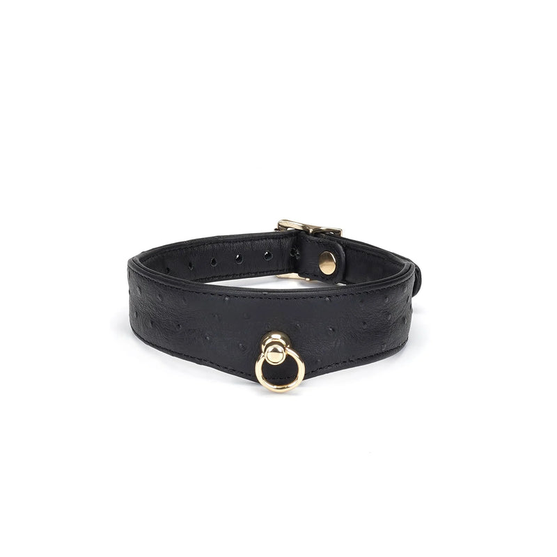 Liebe Seele - Demon's Kiss - Schmales, gebogenes Halsband mit Leine - Luxuriöses und exklusives Design - Schwarz/Gold - Erotiekvoordeel.nl