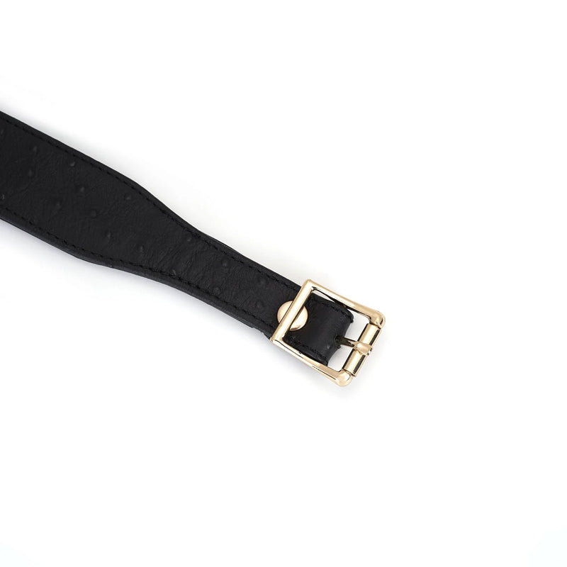 Liebe Seele - Demon's Kiss - Schmales, geschwungenes Halsband mit Leine - Luxuriöses und exklusives Design - Schwarz/Gold-Erotiekvoordeel.nl