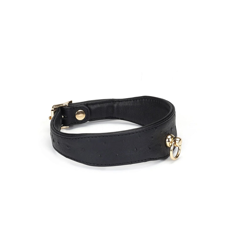 Liebe Seele - Demon's Kiss - Schmales, gebogenes Halsband mit Leine - Luxuriöses und exklusives Design - Schwarz/Gold - Erotiekvoordeel.nl