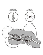 LoveToy Streetgirls 6 Masturbator - Realistische TPE - Bruin-Erotiekvoordeel.nl