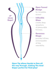 Pipedream - Anal Fantasy Elite Beginner's Anal Glass Gaper - Transparent - Erotiekvoordeel.nl